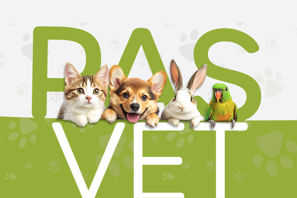 PAS VET ambulatori veterinari